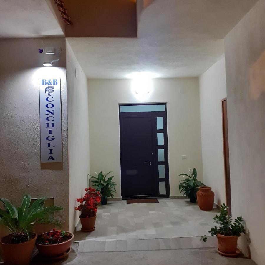 La Conchiglia Bed And Breakfast San Nicola Arcella Kültér fotó