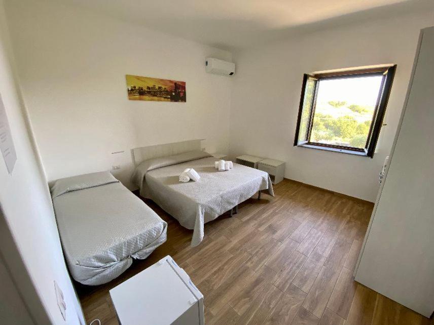 La Conchiglia Bed And Breakfast San Nicola Arcella Kültér fotó